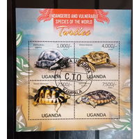 ЛИСТ ФАУНА ящеры рептилии СТО