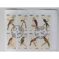 Дофар. Птицы. Малый лист