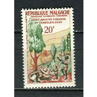 Автономная Малагасийская Республика под французским протекторатом - 1960 - Посадка деревьев - [Mi. 461] - полная серия - 1 марка. MNH.  (Лот 36HW)-TG3P28