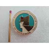 Значок. ЦК ВЛКСМ Всероссийский пионерский лагерь "Орленок"