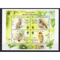 Иран 20011. Птицы WWF совы  блок (3251)