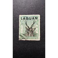 Великобритания. Лабуан\394с\  1900г Фауна  олень зубц.14