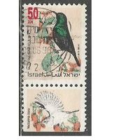 Израиль. Птицы. Скворец стенолаз. 1993г. Mi#1257.