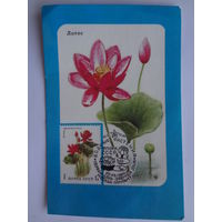 Календарик 1989 г.  Лотос.