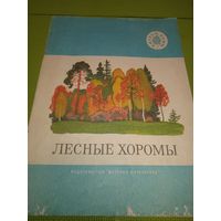 Лесные хоромы. 1975. Детская книжка из СССР