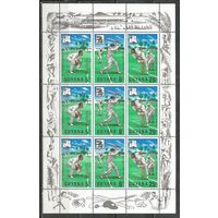 Гайана. Вест-Индийский тур крикет клуба. 1968г. Mi#298-300. Klb.