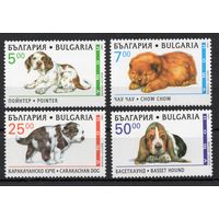 Болгария 1997. Собаки  4 марки  (4265)