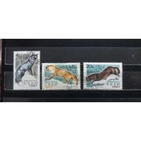 РАСПРОДАЖА. СССР 1967г. Гаш.