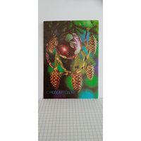 Открытки новые. С новым годом! Фотокомпозиция П. Костенко. 1991г. 14