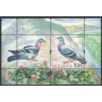 Молдова 2010. Фауна. Голуби. 1 блок (384)