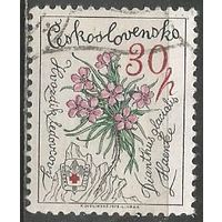 Чехословакия. Цветы. Ледниковая гвоздика. 1979г. Mi#2496.