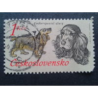 Чехословакия 1973 собака