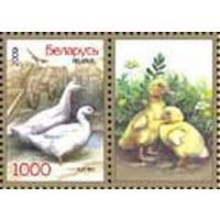 Марки "Утки + купон", "Гуси + купон"