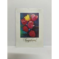 Открытка б/у, 1983г. Поздравляем! Фото Г. Костенко. 14