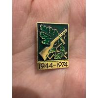 30 лет освобождения Беларуси значок