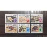 Камбоджа. 1998 год. Фауна. Черепахи (126)