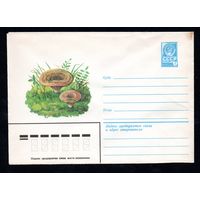 Художественный маркированный конверт СССР N 13464 (25.04.1979) Рыжик