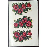 Сдвижные катинки. Заславская КПФ. 1989 г.