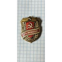 Дружинник