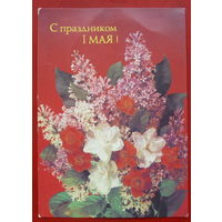 1 мая! Чистая. 1988 года. Дергилева. *274.