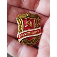 Дружинник