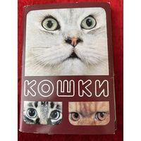 Кошки. 1989 год. 18 открыток