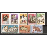 ФФ1 Румыния 1965 Кошки