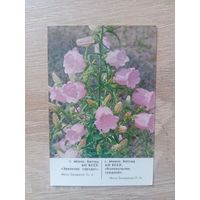 Календарик 1988