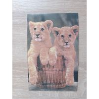 Открытка 1985