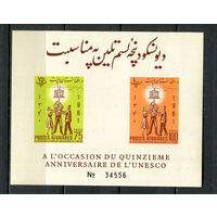 Афганистан - 1962 - 15-летие ЮНЕСКО - [Mi. bl. 21B] - 1 блок. MNH.  (Лот 67HD)-T4P25