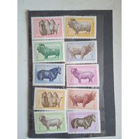 Марки монголия  дом.животные **