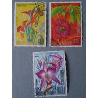 Гвинея цветы 2шт