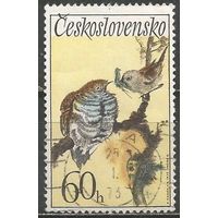 Чехословакия. Обыкновенная кукушка. 1972г. Mi#2110.