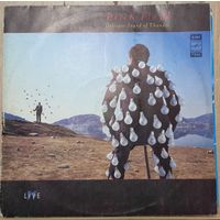 Pink Floyd - Delicate Sound Of Thunder / 2LP