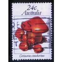 Австралия - 1981 [Mi. 762] Гашеная (AU18)