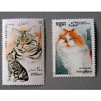 Коты. Афганистан, Кампучия