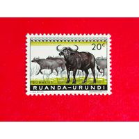 Руанда. Фауна. ( 1 марка ) 1959 года. 8-8.