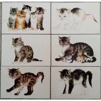 Котята. Худ. В.Лебедев. 6 шт. Чистые. 1970 г.
