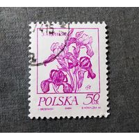 Марка Польша 1974 год Цветы