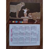 Карманный календарик.Цирк.1983 год