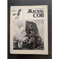 Жизнь сов | Жизнь наших птиц и зверей | Выпуск 1 | Птицы | Пукинский Ю.Б