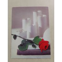 Карманный календарик. Минск. Роза. 1999 год