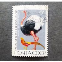 Марка СССР 1968 год Заповедник