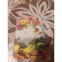 Календарик,кролик,2011,украина