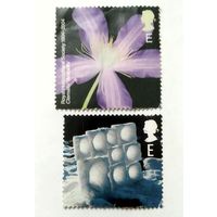 Великобритания \527с\ 2003 с Рождеством . 2004 флора, цветы Е