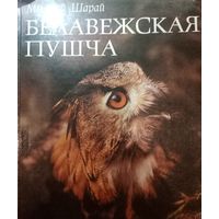 Николай Шарай. Беловежская пуща