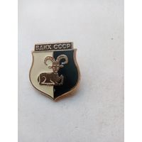 ЗНАЧОК ВДНХ-СССР