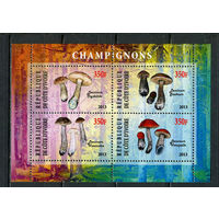 Кот-д 'Ивуар - 2013 - Грибы - 1 блок. MNH.  (Лот 36JQ)-T3P16