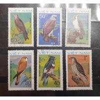 Вьетнам. 1982 год. Фауна. Птицы. Орлы (411)