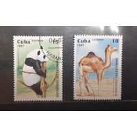 Куба. 1997 год. Фауна (545)